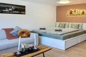 Saas-Fee Panorama Studio, Saas Grund