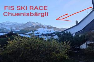 Skirennen von der Terrasse mitverfolgen Apartments, Adelboden