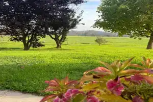FeWo - Natur, Ruhe und Erholung Apartments, Wangen im Allgau