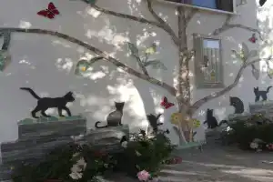 Apartment Cats, Utjeha