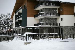 Eco Village Apartments 3 with terrace, Bakuriani