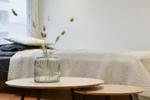 Come in! "Aninkainen" Triplet for 7 people next to bus station! Guest house, Turku