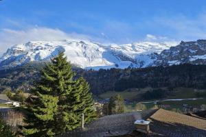 Luxury Escape - Titlis Panorama Apartments, Engelberg