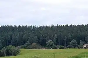 Blackjulie Ferienwohnung im Schwarzwald mit Balkon und Parkplatz ruhig Apartments, Sankt Georgen im Schwarzwald