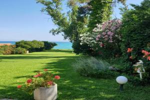 Lily's House-Seafront apartment in, Halkidiki, Hanioti