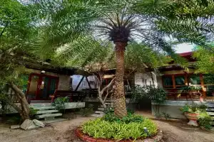 Chook Dee Resort phangan palm beach, Baan Tai