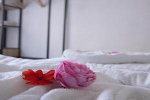 Deniz Apartments, Kappel-Grafenhausen