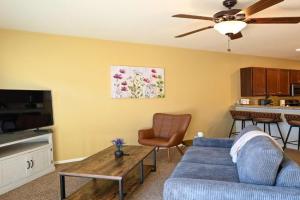 Cozy 1 Bedroom 1 Bathroom Near Mayo Clinic, Rochester
