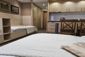 Konak Zvečan 307 Apartments, Kopaonik