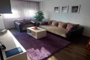 Apartman BFF, Kraguyevats