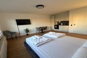 Union Suite Apartment Near Train Station, Linz