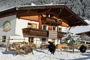 Permadieshof L Hostel, St. Leonhard im Pitztal