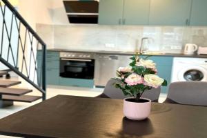 Apartment WH8, Frechen