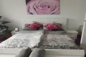 Reiheneckhaus mit Terasse Guest house, Nurnberg