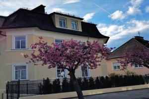 Villa Kreuzbergl - Doppelzimmer, Klagenfurt