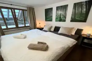 Schwarzwald Apartment mit Sauna 2 Zimmer frisch renoviert, Todtmoos