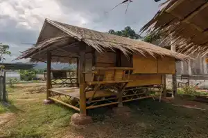 Tarzan Bamboo hut Farm, Khao Sok