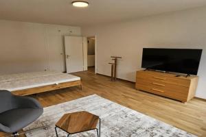 Cozy studio near train station - Wille 7, Zurich