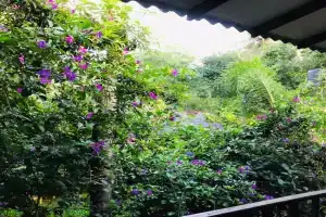 Sh li Hostel, Sigiriya