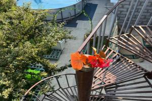 Vage Gest House, Sevan