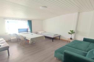 Big, Cozy and central apartment 24 h check in, Mainz