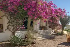 Marine Garden Camp, Dahab