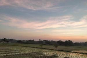THONG HOME CAMPs, Lamphun City