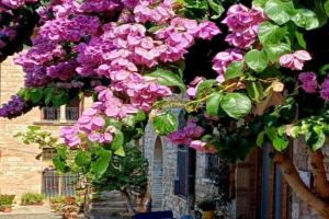 La Bouganville Guest house, Assisi
