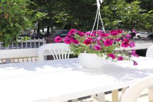 Ioannis House Apartment, Asprovalta