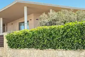 Best Leisure in Playa de Palma Guest house, Cala Mayor