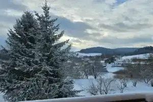 Privat-Zimmer in Hotel am Pfahl, Viechtach