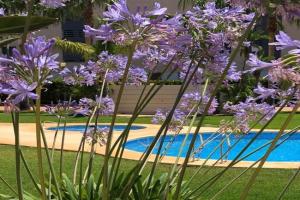 Apartment De Jardines, Denia