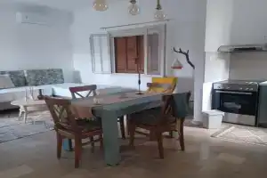 Asprocyclia House, Panormos