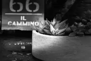 Il Cammino Apartments, San Quirico d'Orcia