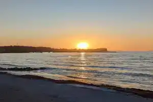 Dolphin Studios-Near the Beach, Roda