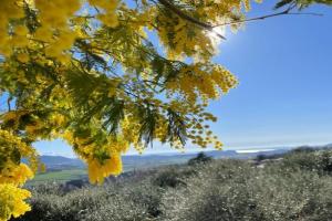 Dimora Borgo Gaon - Casa Elios con wi-fi e 3 bagni, Caprino Veronese