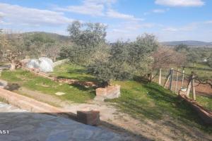 Ali dede kamp karavan bungalow Guest house, Kirazli