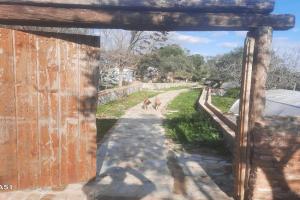 Ali dede kamp karavan bungalow Guest house, Kirazli