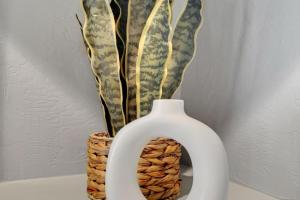 Bridges #1151 Guest house, Chandler