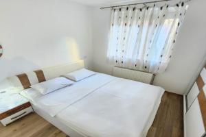 Cozy Apartment in City Center Prishtina, Pristina