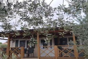Apartments with parking space, Biograd - 23865, Pakostane