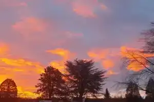 Ferienwohnung Kiefernwald Apartments, Mechernich