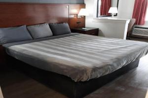 King Bed Hotel Suite 202, Jackson