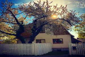 Villa Betty, Visby