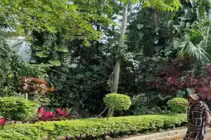 Botanic Hideaway Home, 5km from airport Guest house, Mwanza
