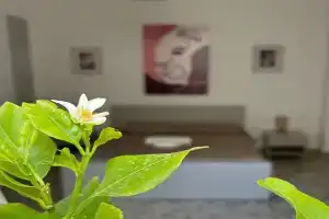 Josky Apartment, Trapani