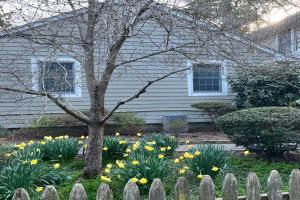 Oak avenue 33 Guest house, Rehoboth Beach