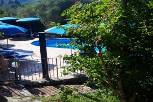 Agriturismo Tenuta Mariani Apartments, Massarosa