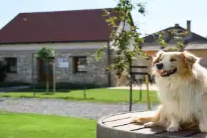 Madárdalos Kert és Vendégház Guest house, Tokaj