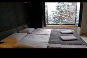 Woodside free parking Apartments, Kopaonik